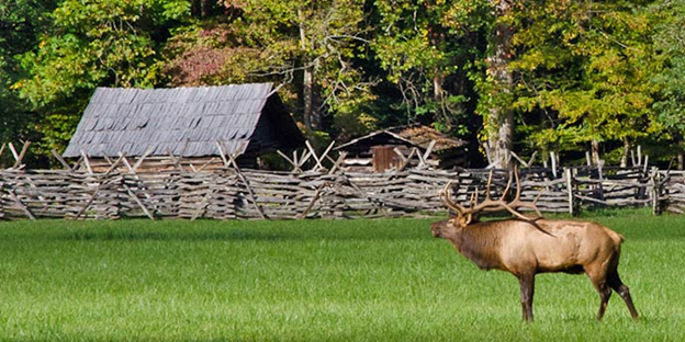 CadesCove