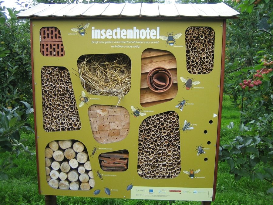 Nature center display insect hotel