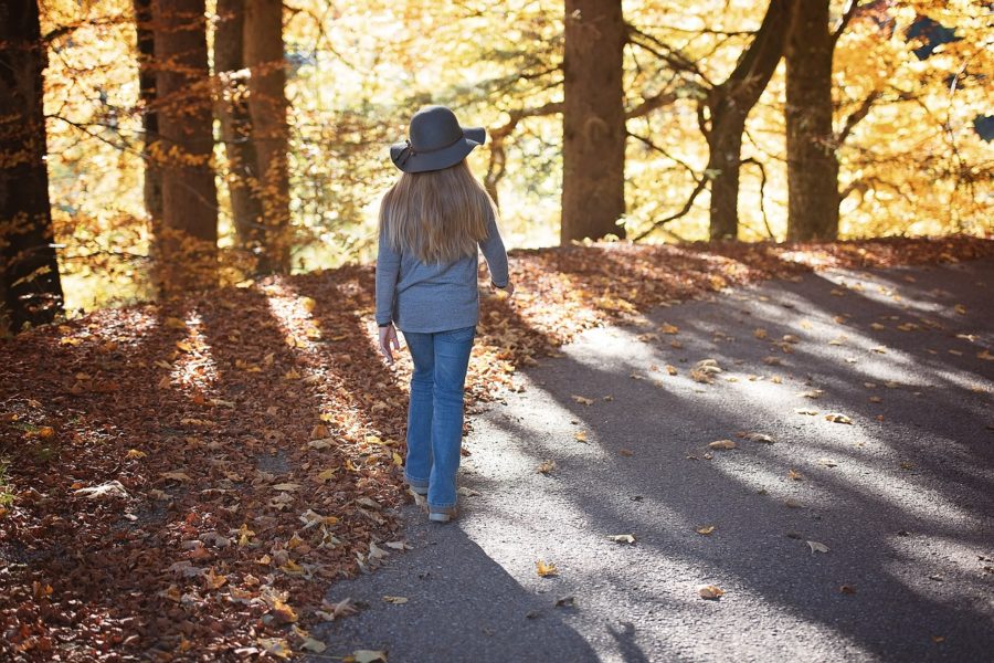 Fall Activities A Walk in the Woods